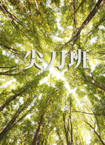 久久99精品久久久久久h