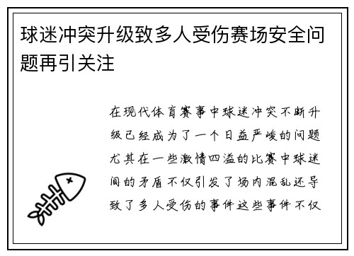 球迷冲突升级致多人受伤赛场安全问题再引关注 球迷冲突升级致多人受伤赛场安全问题再引关注